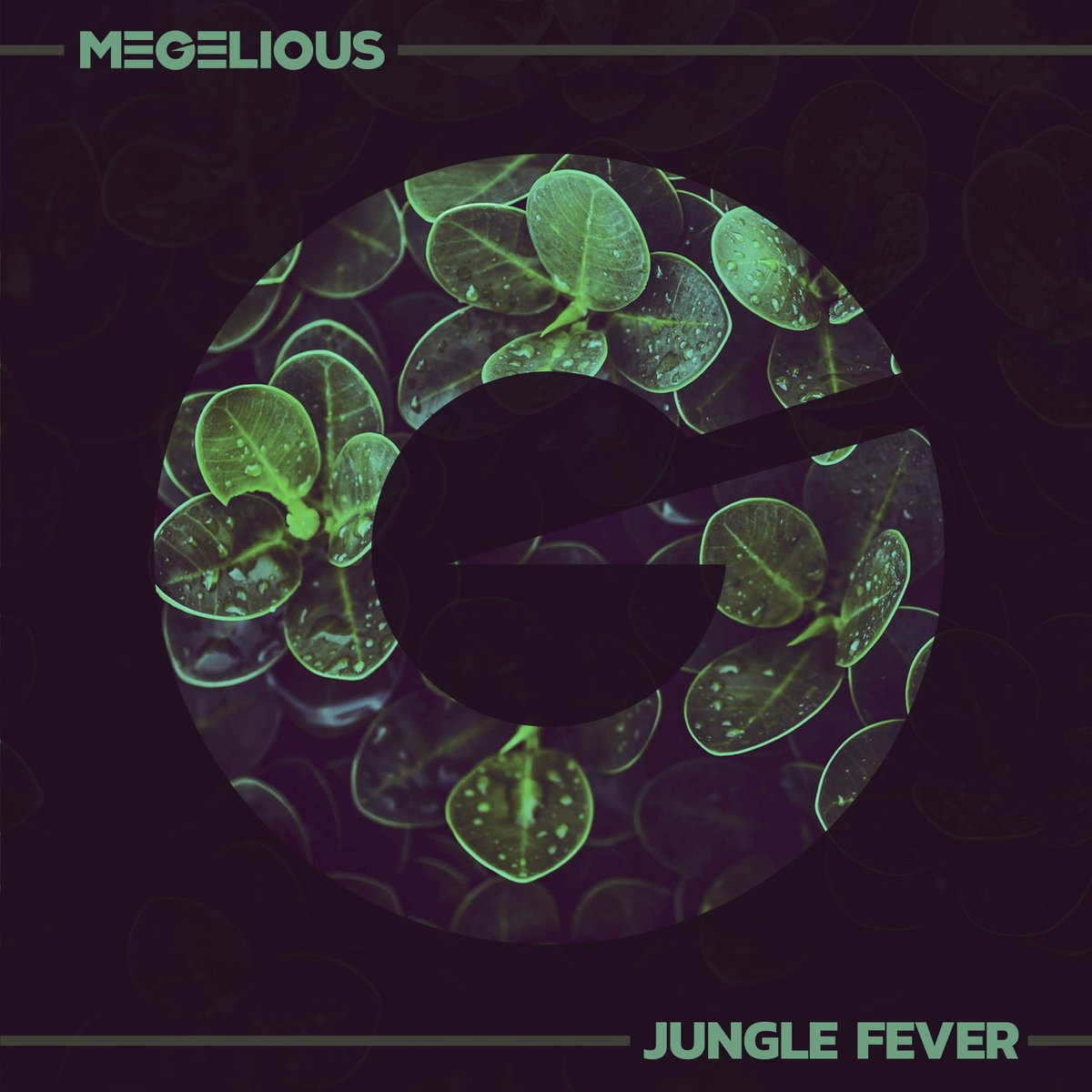 megelious's tweet photo. Do you like my new track Jungle Fever? Here is link for the track if you have not heard it yet. Thanks for support all of you! https://t.co/cZbSRVpCfa

#music #musicstreaming #track #edm #bigroom #electrohouse https://t.co/LTO51W4Tw5