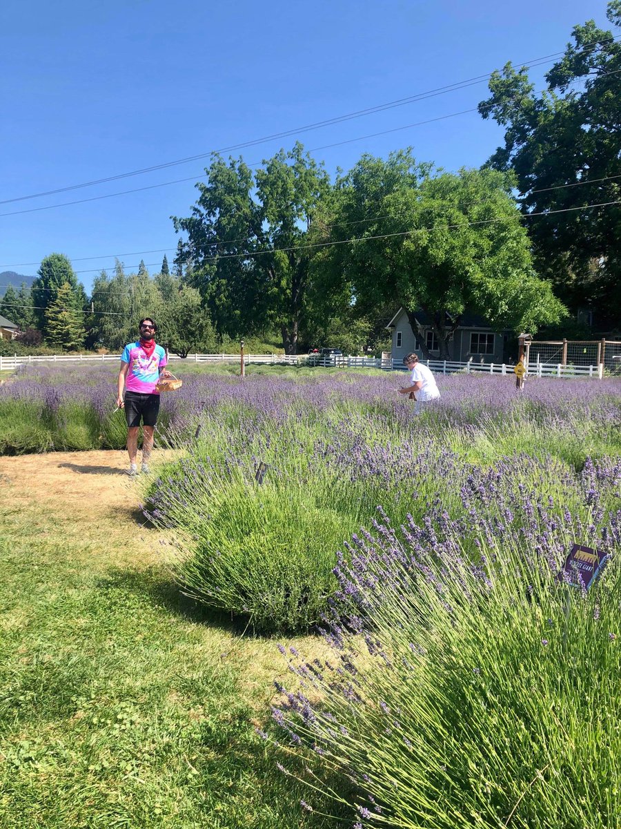 mattanthem87's tweet photo. From last weekend when I frolicked through lavender fields and sipped wine by a river with my wife, and my mother. @redlilyvineyard #Wine #LavenderFields #Summer #MaskAtTheReady https://t.co/vU9pnwoqof