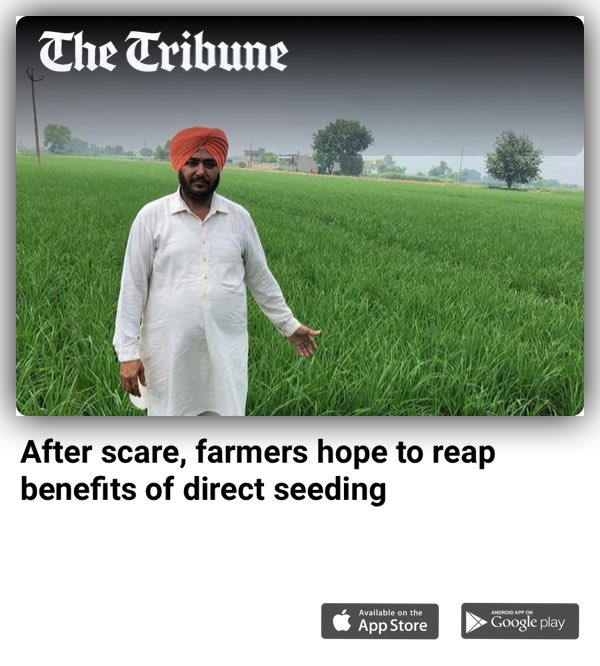 RuchikaMKhanna's tweet photo. #agriculture #Punjab #paddy #directseedingrice After scare, farmers hope to reap benefits of direct seeding
-via The Tribune
https://t.co/jdDxclZi8r https://t.co/Fugy5ot0c8