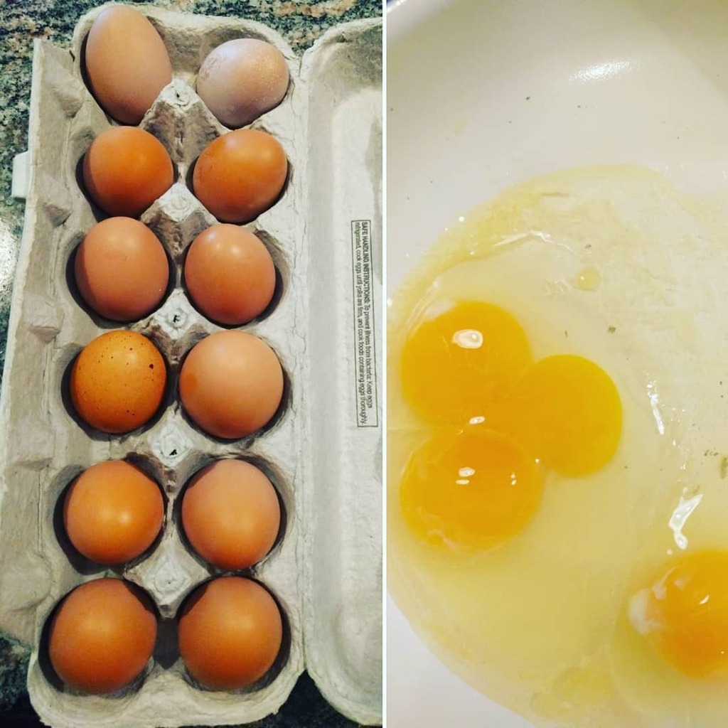artedallthetime's tweet photo. Our first dozen eggs was completed yesterday and we finally ate some! #sodelicious #doubleyolk #proudchickenmama #soverycool https://t.co/vpI7gNty50 https://t.co/H2oQv5X4mY