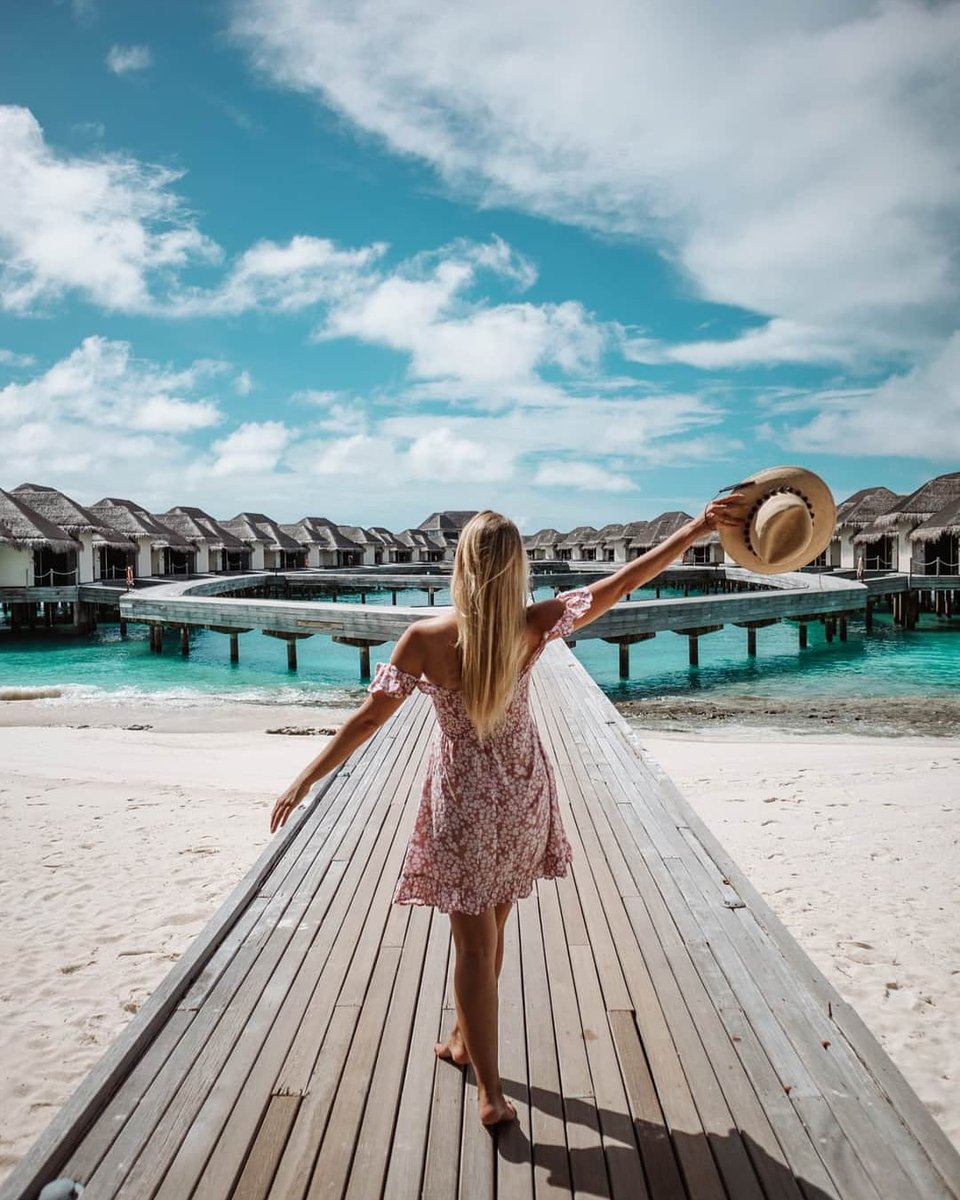 Maldives tweet media