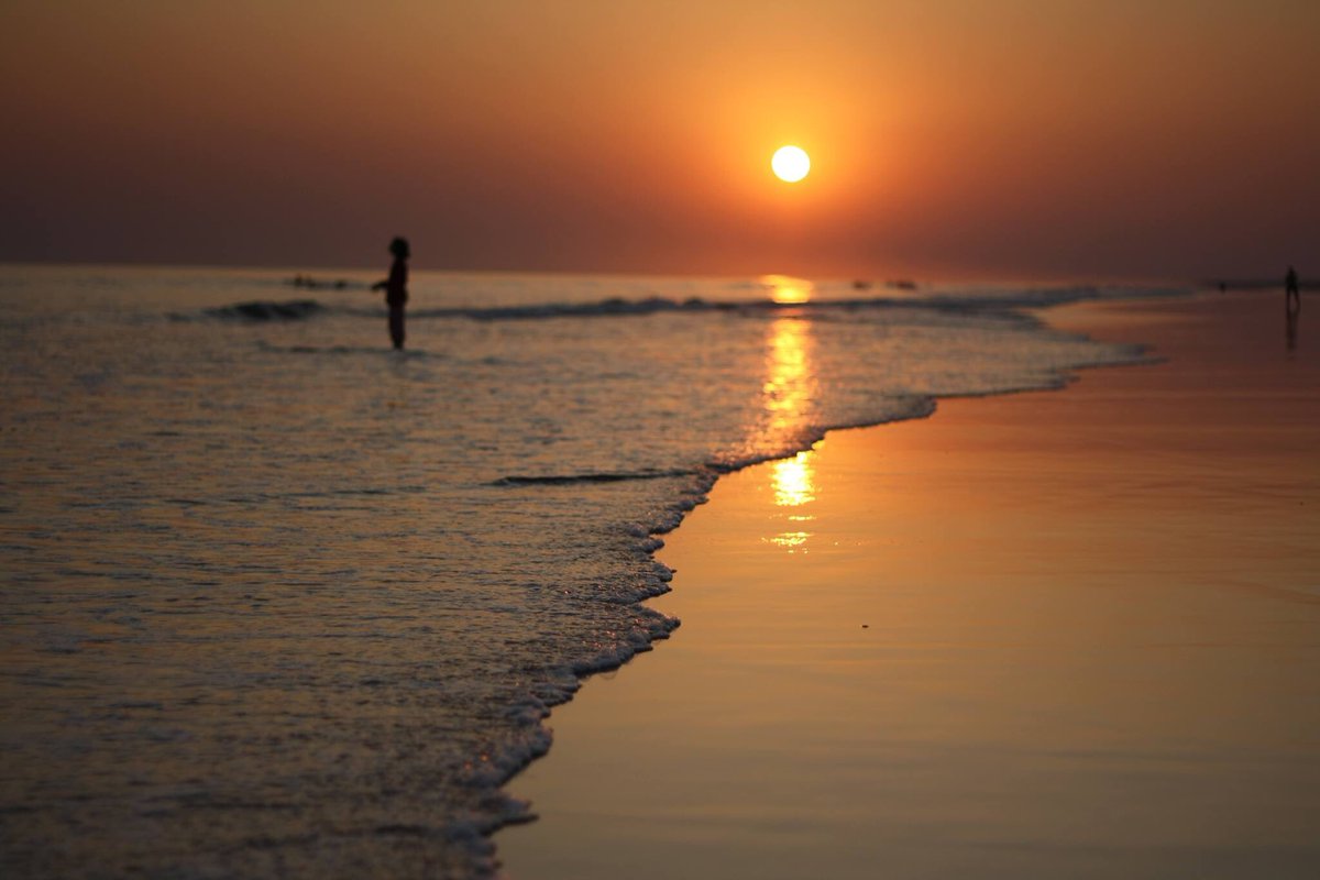 discoverbbsr's tweet photo. Chandrabhaga Beach: Scintillating &amp; Serene 

#Konark #Odisha @odisha_tourism https://t.co/EDZmp5e5Xo