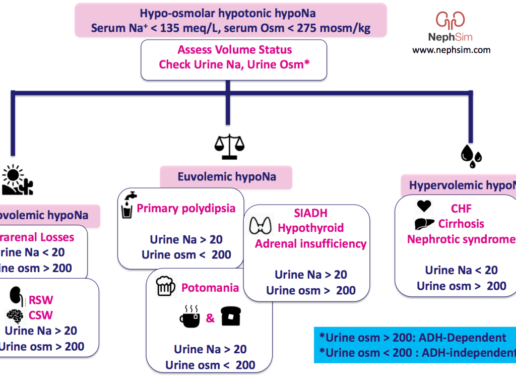 Neph_SIM's tweet photo. Case 13: A 60 y/o with multiple myeloma, HTN, and #hyponatremia
https://t.co/gpyb1qY53U
#FOAMed #MedEd #Tonicity #Osmolality https://t.co/nPQZEDXLLi