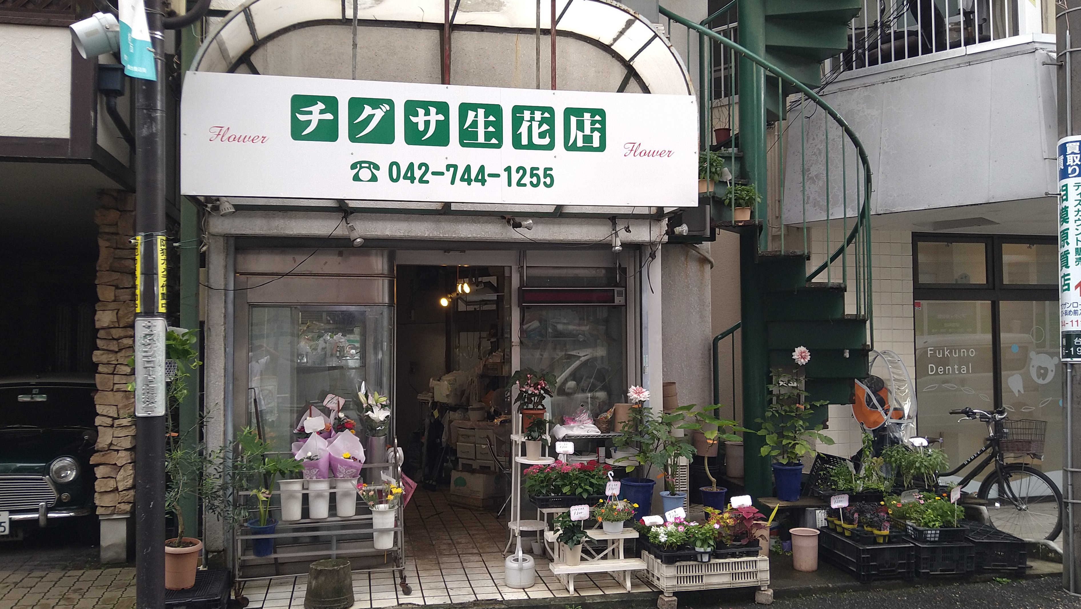 Twitter 上的 サウザンロード相模台商店街連合 公式 チグサ生花店さん 相模台郵便局の少し先にあるお花屋さん 店頭では贈り物や仏花などを購入なさるお客様が多いです 配達も行っていますので気軽にご相談ください サウザンロード オダサガ 小田急相模原