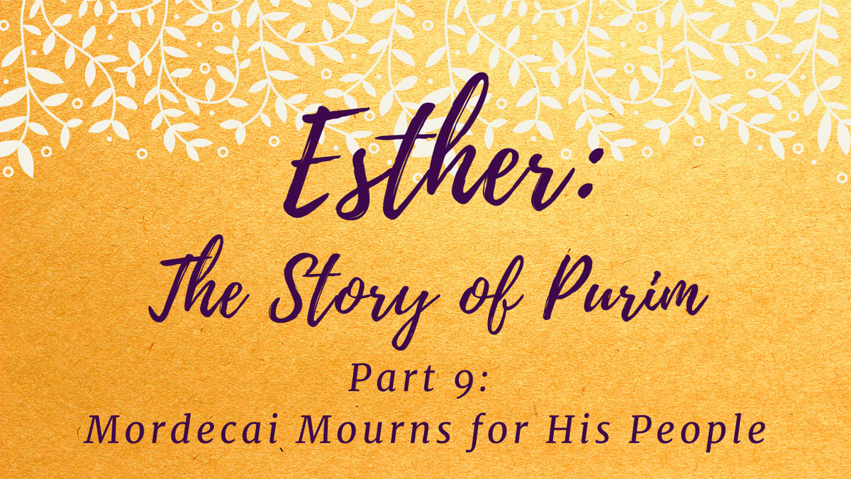 foundedonthebib's tweet photo. Esther: The Story of Purim
Part 9- Mordecai Mourns for His People
https://t.co/OxKkm1m1hr
#foundedonthebible #christianvlog #christianblog #devotional #FreeBibleResource #FreeChurchResource #QueenEsther #Esther #BookofEsther #Mordecai #WillofGod #GodlyMourning https://t.co/OvJ8rg18Fa