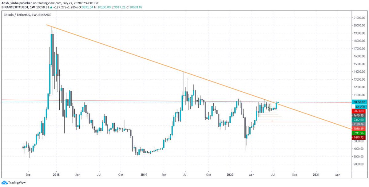cryptonami tweet picture
