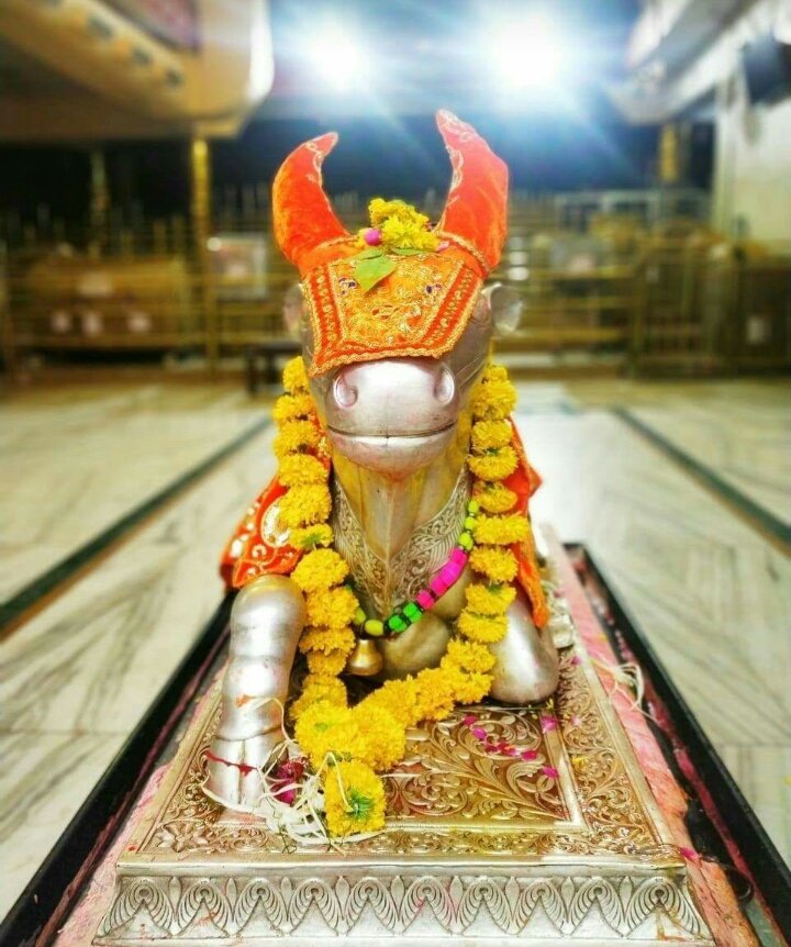 Shurbhi99's tweet photo. #ना महीनों की गिनती ना सालों का हिसाब है
#मोहब्बत आज भी महाकाल से
#बेइंतहा बेहिसाब है.
#जय श्री महाकाल….
#हर हर महादेव…. 🙏🙏 https://t.co/QTQhyMk8Db