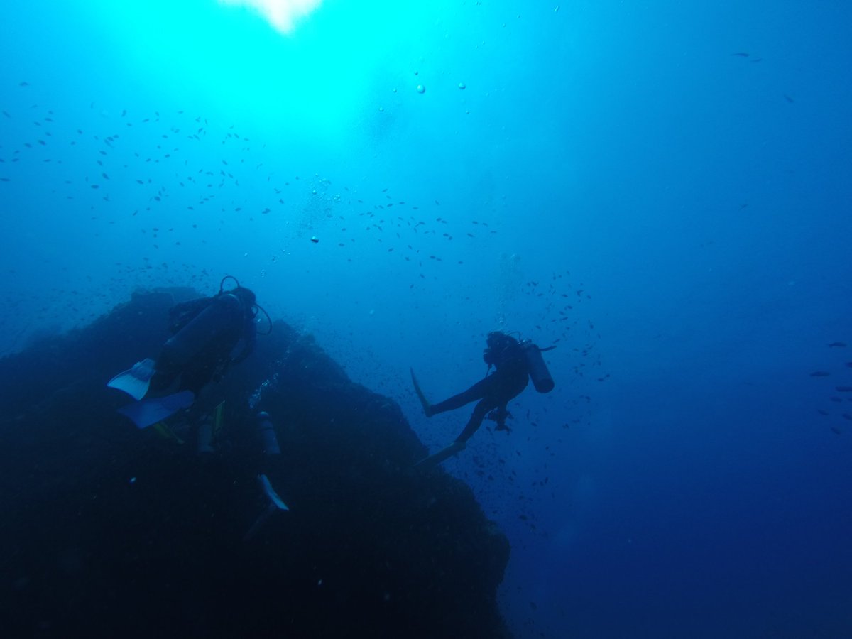 Bugtan's tweet photo. My life goals.

ความสุขและเป้าหมายของแต่ละคน...ต่างกัน 

#Bugtan #fundive #KohTao https://t.co/qDkUuHsqgg