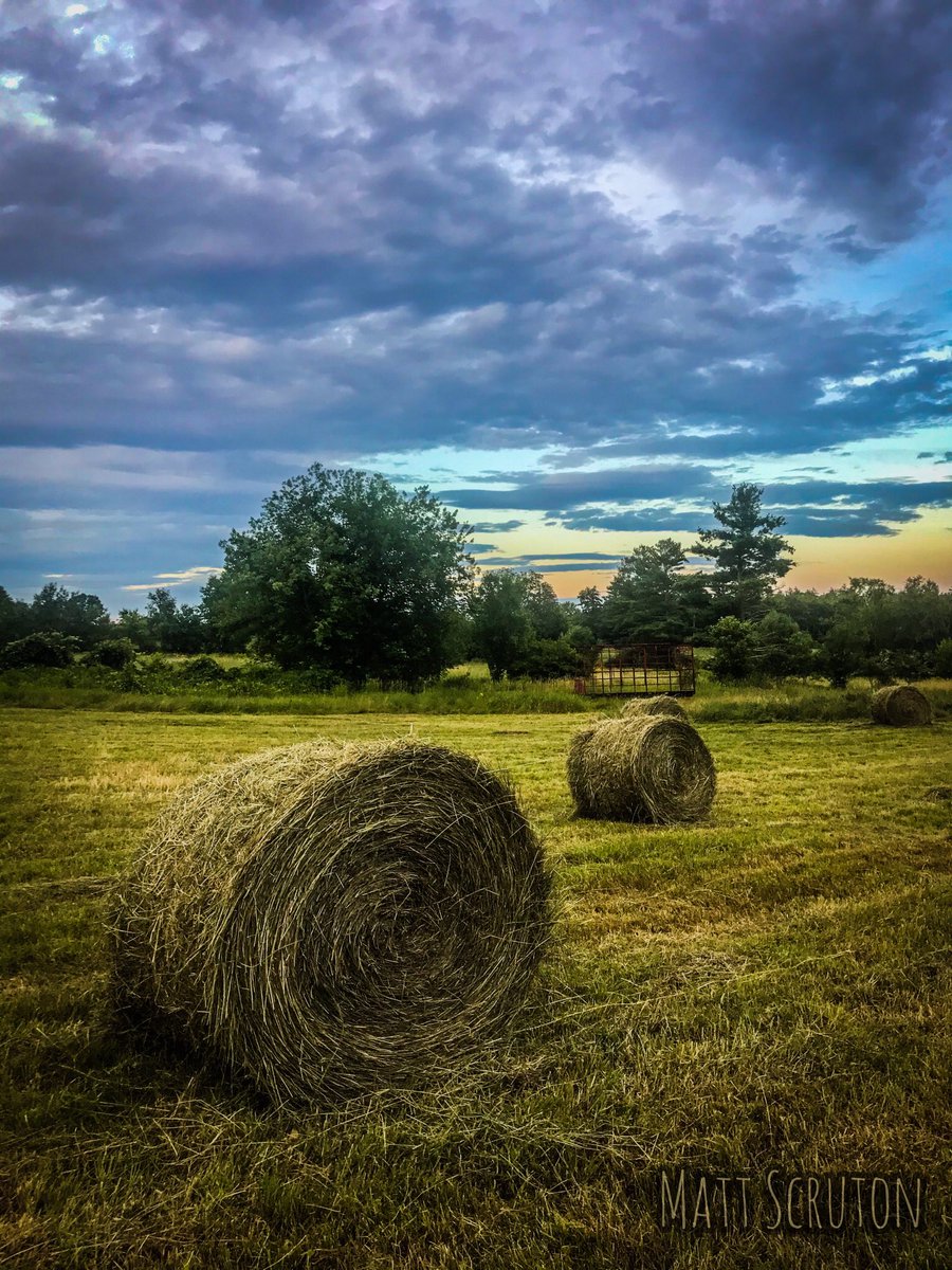 TenRodFarm's tweet image. Round hay bales available, $45/each. Appointments required. Please call or message us. Thanks!
