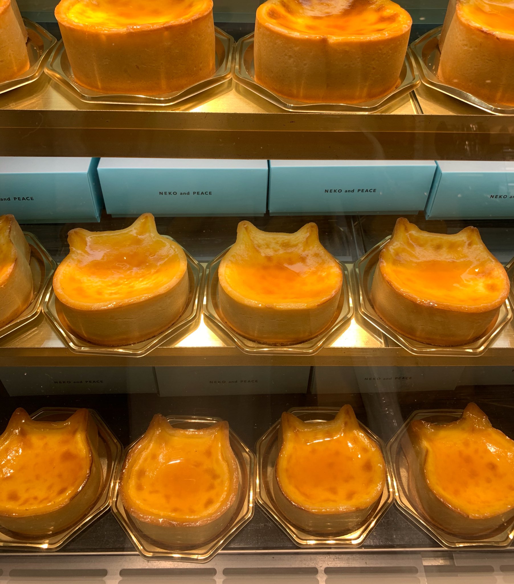 ねこねこチーズケーキ 公式 ねこねこチーズケーキ続々登場 7 30 豊田店 7 31 イオンモール北戸田店 イオンモール熱田店 8 1 エキア志木店 岡崎店 ねこねこ増殖中 くわしくはこちら T Co Kzgma2ezxb T Co Fth2s0kvdw