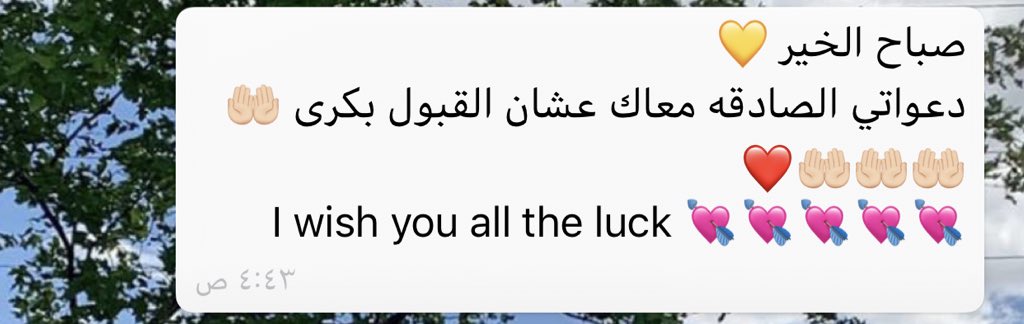 eelvexs's tweet photo. حب وامتنان كبير للاشخاص الداعمة بحياتي🖤 https://t.co/qF8nIhnLn1