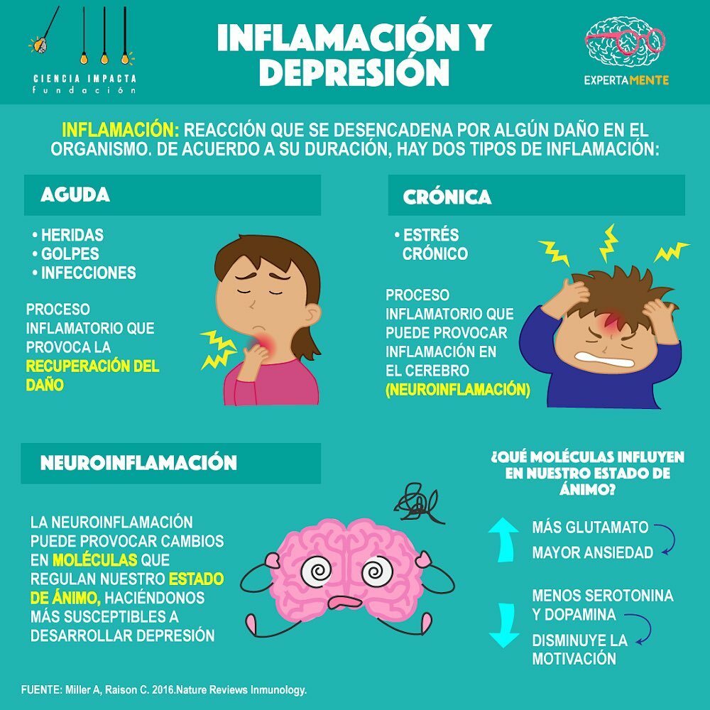 expertamente's tweet photo. 🔹¿Sabías que existen 2 tipos de Inflamación ? Aguda y Crónica! 
👉🏼La neuroinflamación puede influir en nuestro estado de ánimo ! 
.
.
🔹Comparte y déjanos tus comentarios !!
.
.
#saludmental #saludfisica #ciencia #biologia #medicina #neurociencia #edu… https://t.co/asqOvAQcOD https://t.co/Y2l3b1VlVq