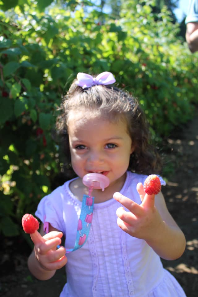 Remlinger Farms tweet media