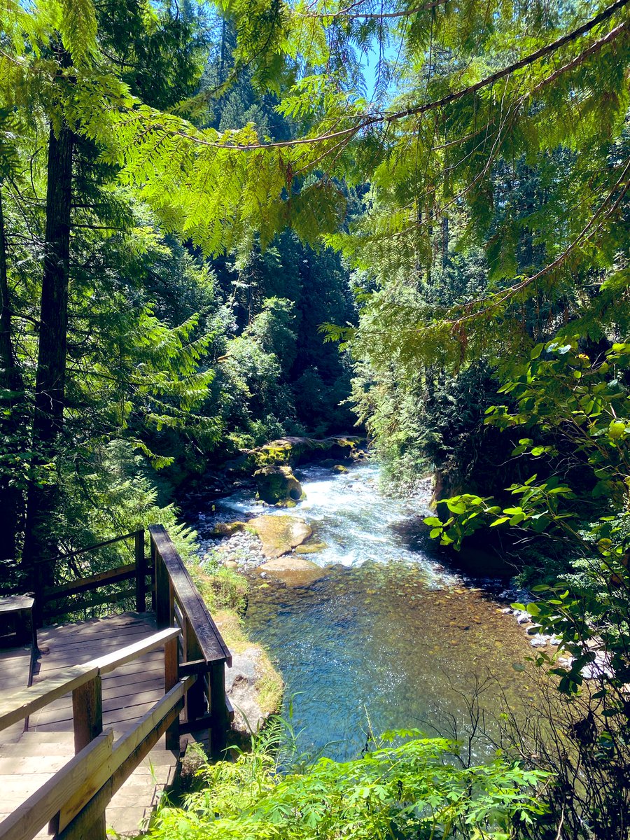liliglover's tweet photo. An absolutely beautiful day. https://t.co/RfFNVuK3Ed