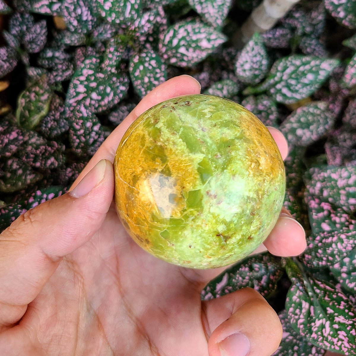 PlanetaryStore's tweet image. Green Opal! 💚💚