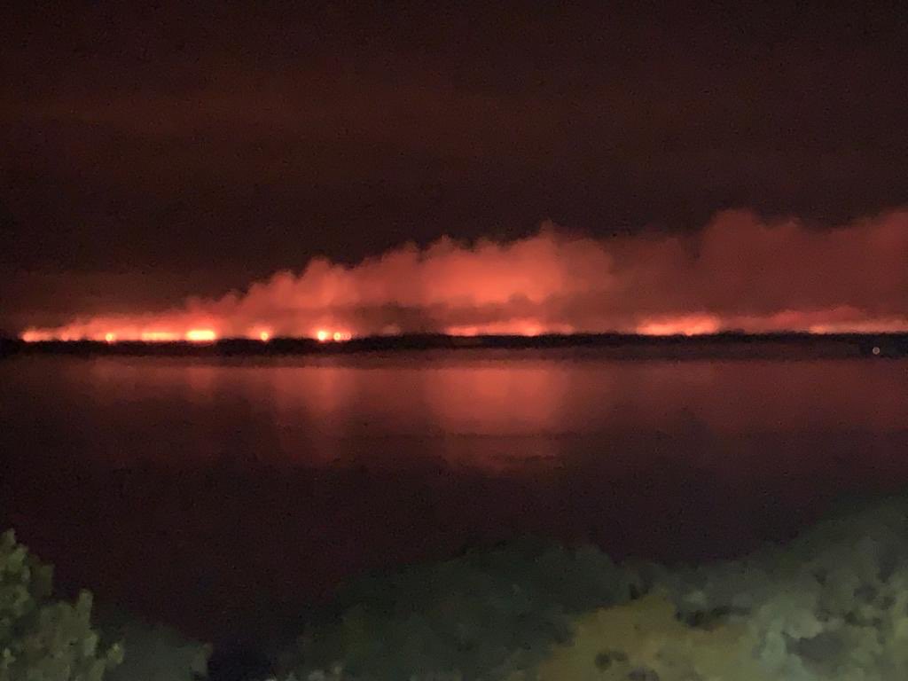 HernanOre1's tweet photo. Basta de quema en las islas! Seguiremos apoyando el pedido de intervención judicial que realizó @LeoIntendente sumado a que nuestra provincia, la de Entre Ríos y la Nación lleven adelante políticas activas al respecto. https://t.co/l8KC8p1sMp