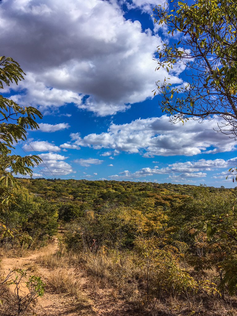 UnikueModa's tweet photo. W A N D E R L U S T 

#travelphotography  #travelzambia #unikuemoda #travel https://t.co/b0uvVSolYA