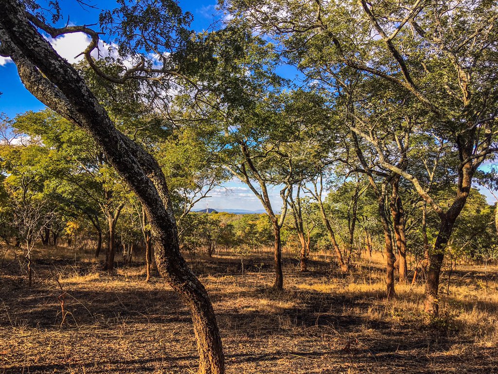 UnikueModa's tweet photo. W A N D E R L U S T 

#travelphotography  #travelzambia #unikuemoda #travel https://t.co/b0uvVSolYA