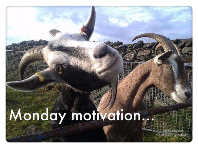 Ezra Bluesky (@ezrabluesky) on Twitter photo 