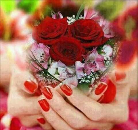 SyedaHayat1's tweet photo. Beautiful #Flowers .
#love
#Peace https://t.co/8VjUegMLCq
