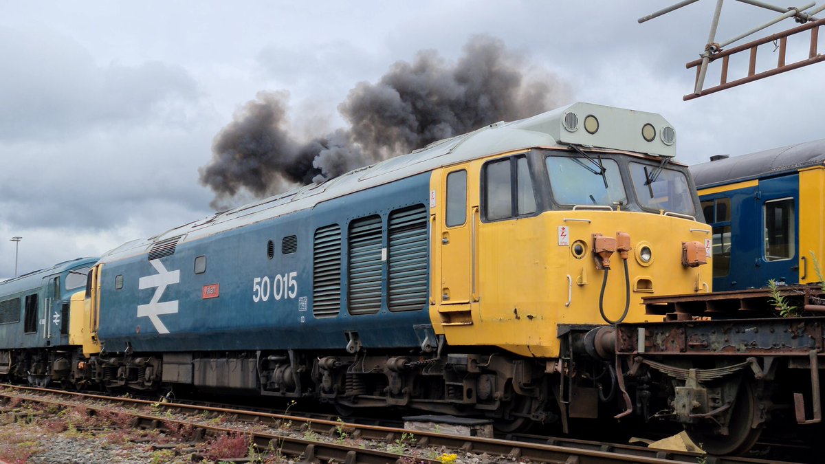 Unzi - Paul tweet media