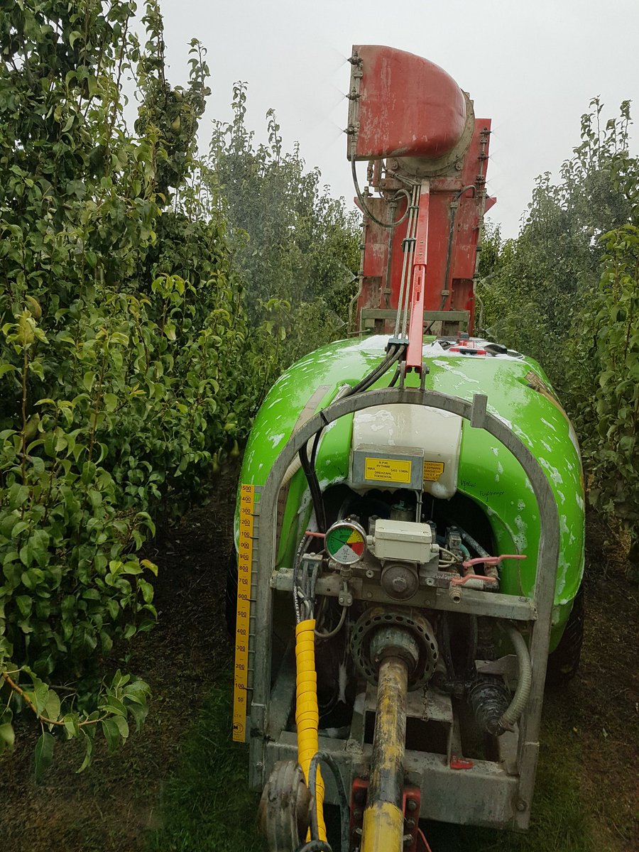 Water en wat sop in de tank en perceel met peren bladvlooi problemen even wassen in de regen. Proberen de plak te verminderen / uit te vloeien en de vlooien bloot te leggen.