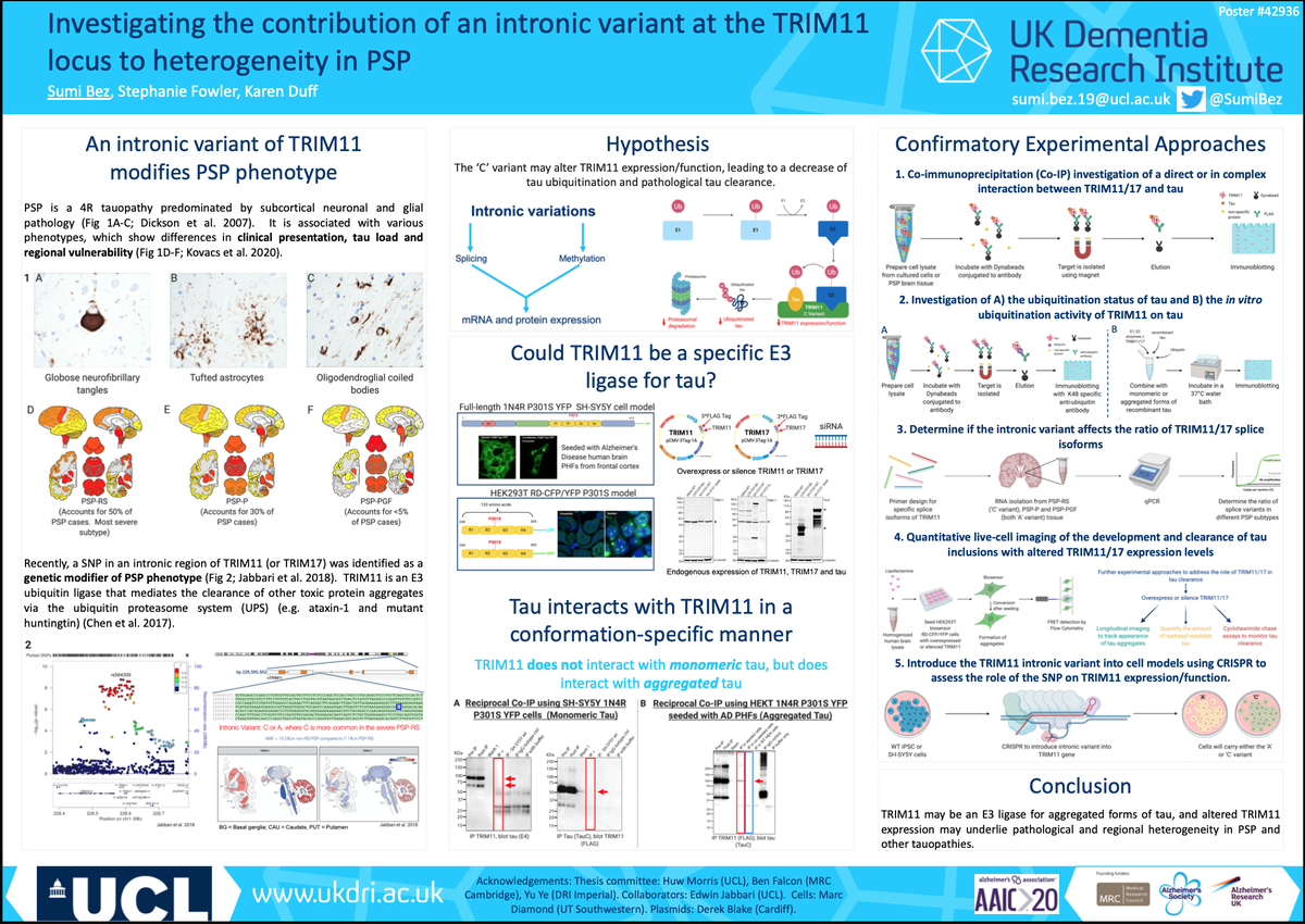 My poster is up! Come and join me at #AAIC2020 (Find me under Basic Science and Pathogenesis)