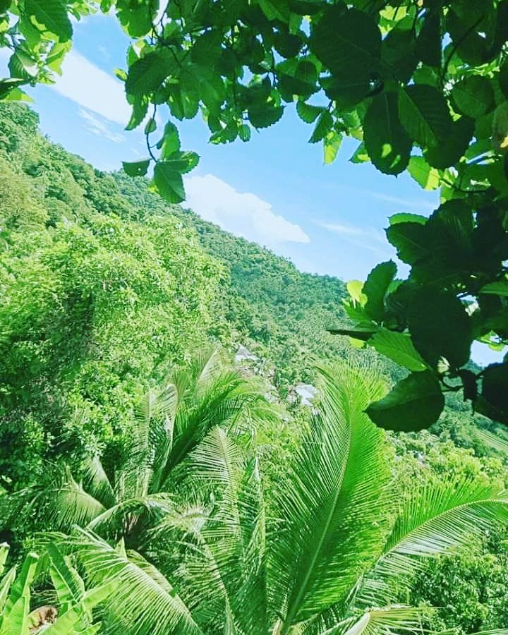 JansenTrinidad2's tweet photo. Breathe 💚😍 https://t.co/RU0HQPxn2k