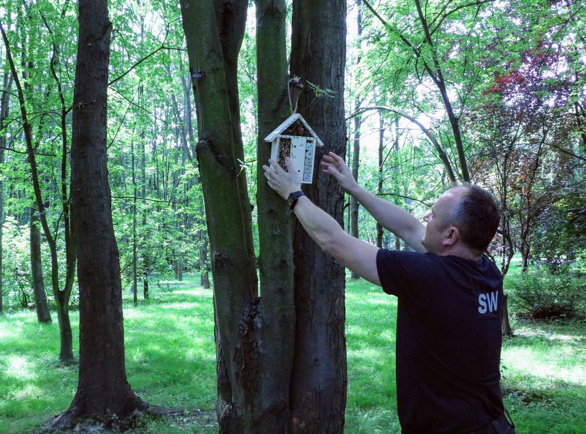 Z inicjatywy funkcjonariuszy z krakowskiego aresztu osadzeni w ramach zajęć readaptacyjnych stworzyli 60 hoteli dla owadów. Część z nich została przekazana Zarządowi Zieleni Miejskiej w Krakowie i już niedługo będzie można je zobaczyć w krakowskich parkach 🐝🦋🐜🪰