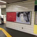 人が少ないからって…!駅広告の概念を根底から覆してくる化粧品会社!