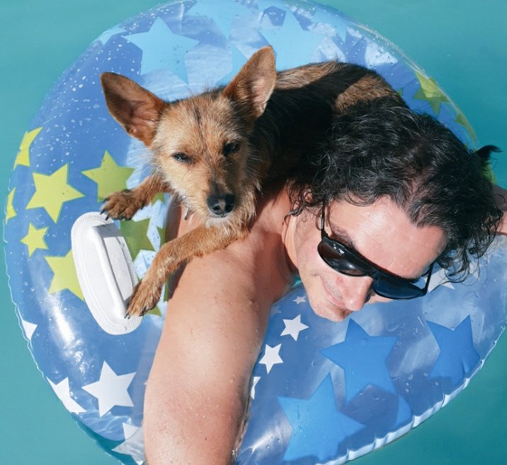 La Chtite Maison Solidaire tweet media