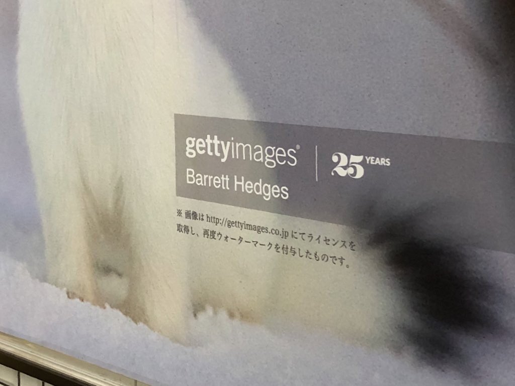 広告の概念をぶち壊す化粧品会社の広告 好きな動物はオコジョです 大好き Togetter