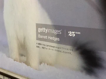 画像 / Picture