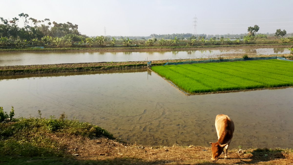 “There has been a 100-fold decline in mortalities from cyclones in the last 50 years, says Swarna Kazi @WorldBank Read story#3 by @nextbluestories about #coastaldevelopment #Bangladesh #resilience #disastermanagement @RVO_Nederland #PartnersForWater dutchwatersector.com/news/unlocking…