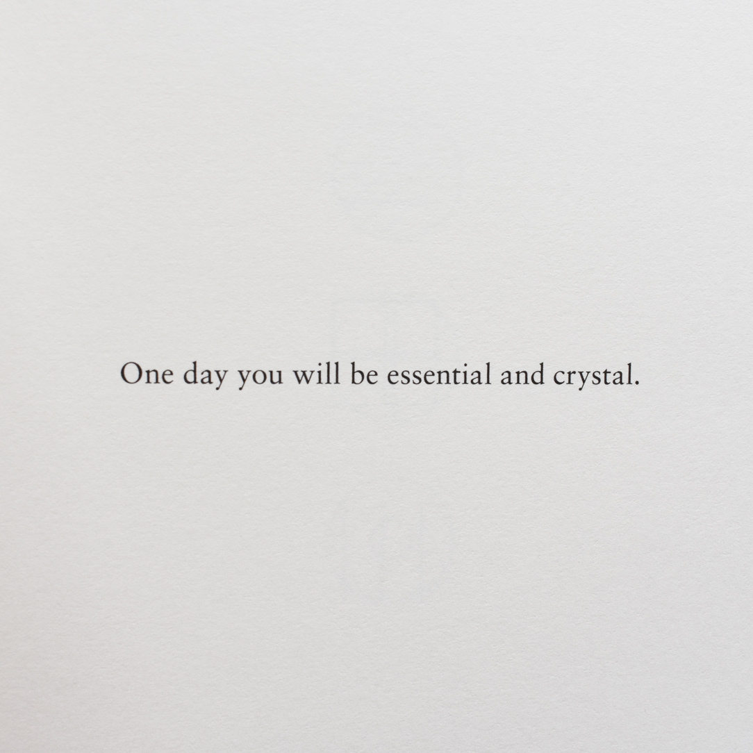 Corbel_Stone's tweet photo. It was 2014 when we first heard rumour of 'A Shelter for Bells', by Hans Jürgen von der Wense. It's been a long wait, but it's finally here. Such a vital, important book on the earthen and the celestial. We urge you to buy it:

https://t.co/vDB6yX7x41

#smallpress #poetry #wense https://t.co/42adEQMH7K