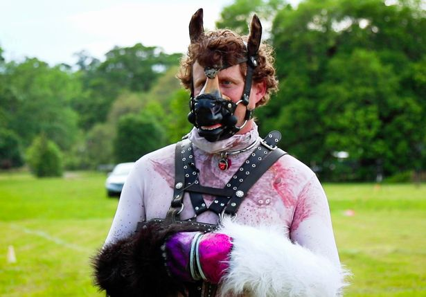 фурсьют лисы. пониплей костюм. фурсьют лгбт. фурри субкультура в россии. фурри субкультура.