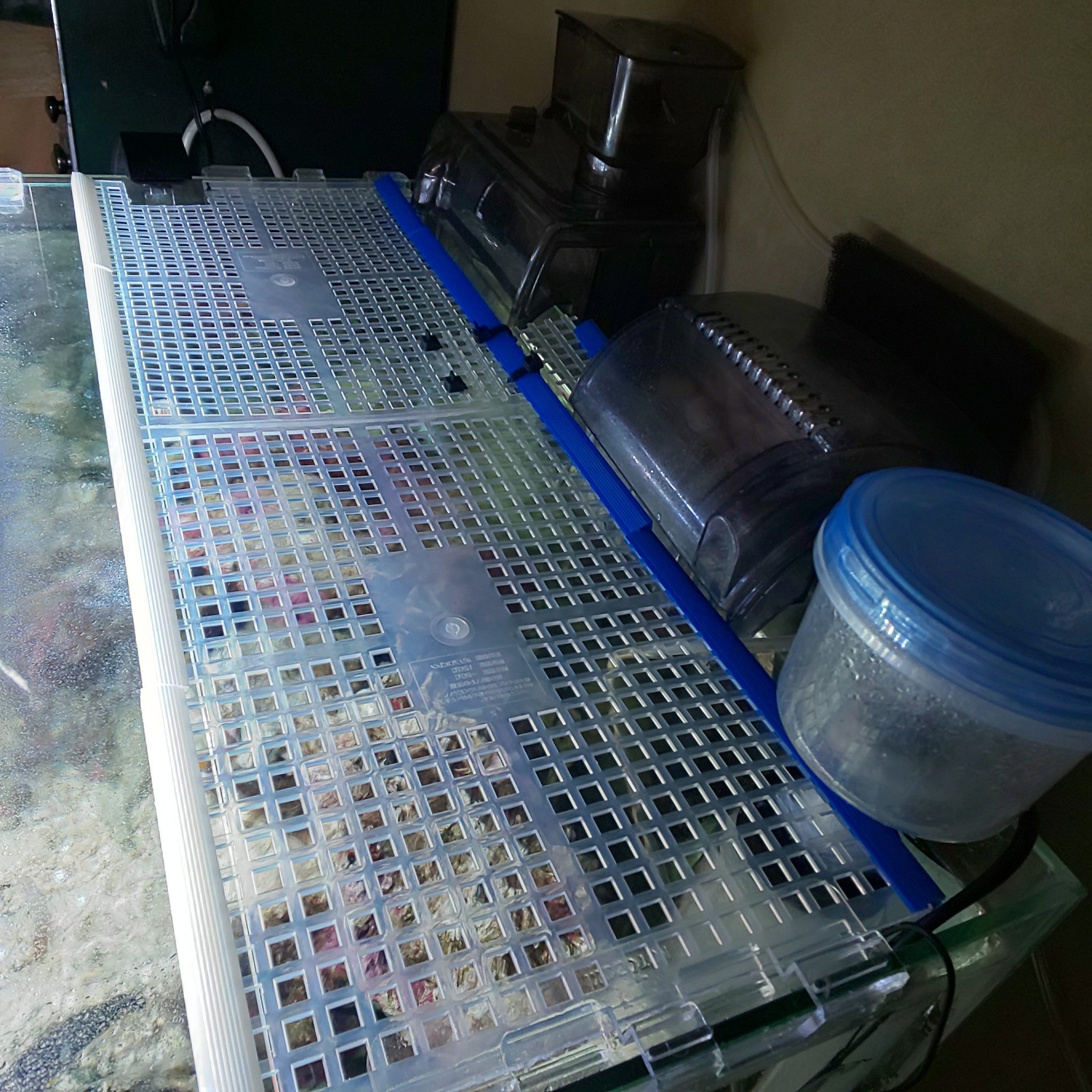 T Mukai ハタタテハゼは驚くと水槽を飛び出すらしい 冷却ファンで気化熱を使って水温を下げているのでガラス蓋はできないので100均で網籠買ってきて 蓋をつくりました アクアリウム 海水魚水槽 T Co Av2yqklrdq Twitter