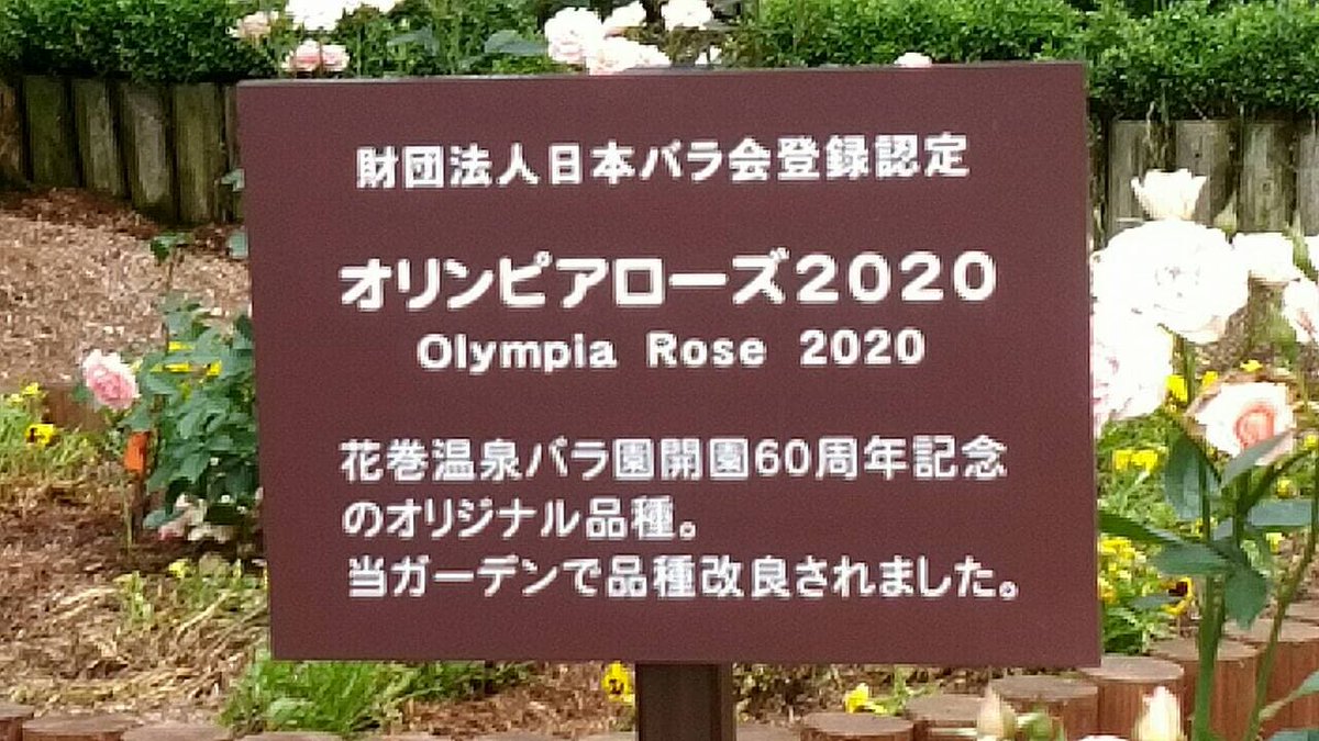 えふえむ花巻 フラワーガーデン 中継先から写真が届きました セミの抜け殻まで 笑 夏バラがシーズンを迎えている花巻温泉 バラ園 宿泊者限定のナイトローズガーデンには多聞さんも食いついてましたね お天気のよい日にぜひお出かけください えふえむ花巻 フラワーガーデン 中継先から写真が届きました セミの抜け殻まで 笑 夏バラがシーズンを迎えている花巻温泉 バラ園 宿泊者限定のナイトローズガーデンには多聞さんも食いついてましたね お天気のよい日にぜひお出かけください