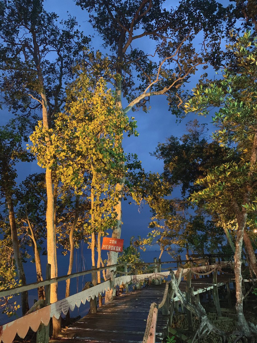 view di Ikan Bakar Parameswara Ada meja makan kat sini tapi hujan masa tu. kalau hari masih cerah i dah ootd hhehe