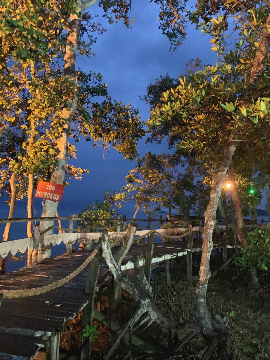 view di Ikan Bakar Parameswara Ada meja makan kat sini tapi hujan masa tu. kalau hari masih cerah i dah ootd hhehe