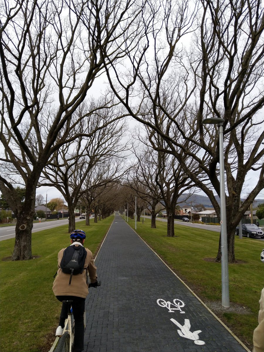 They have painted cycleways, protected cycleways, wide shared paths through beautiful parks, you name it! (8/15)
