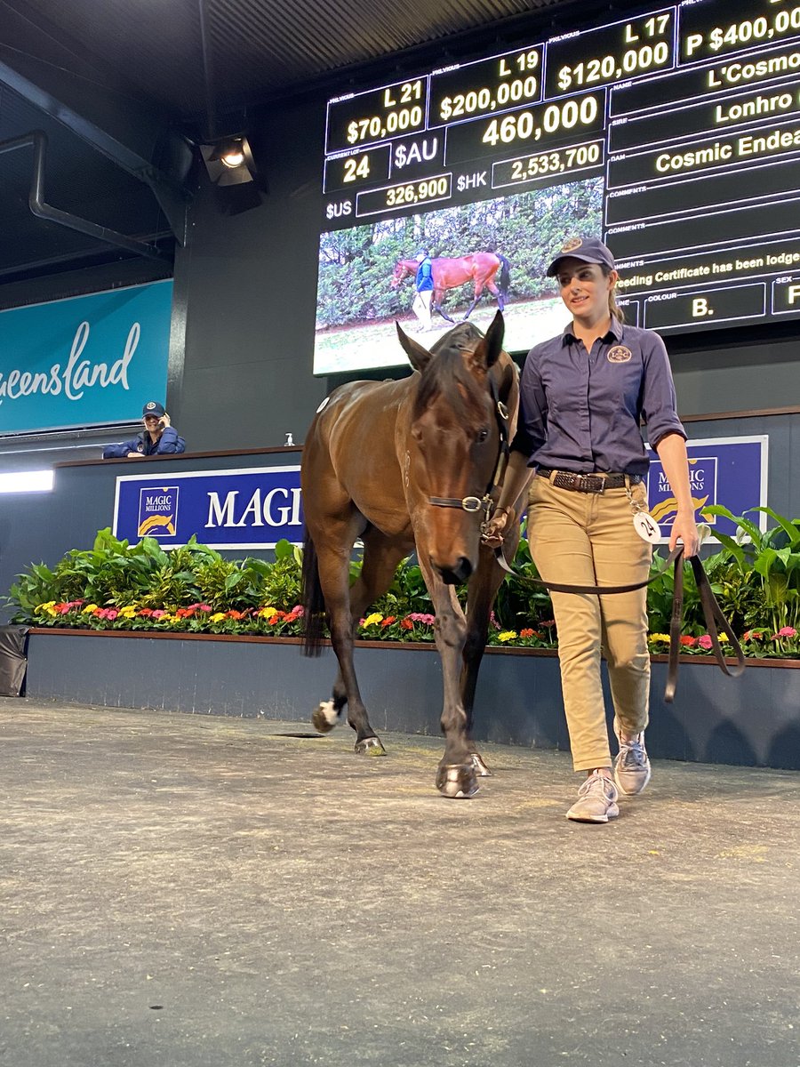 anz_news's tweet photo. Lot 24 consigned by @LimeCountryAU  - #LCosmo (#Lonhro mare out of #CosmicEndeavour) sells for $460k to @AWilliamsBldstk &amp; @GrantBloodstock https://t.co/b8rgSZOQCN
