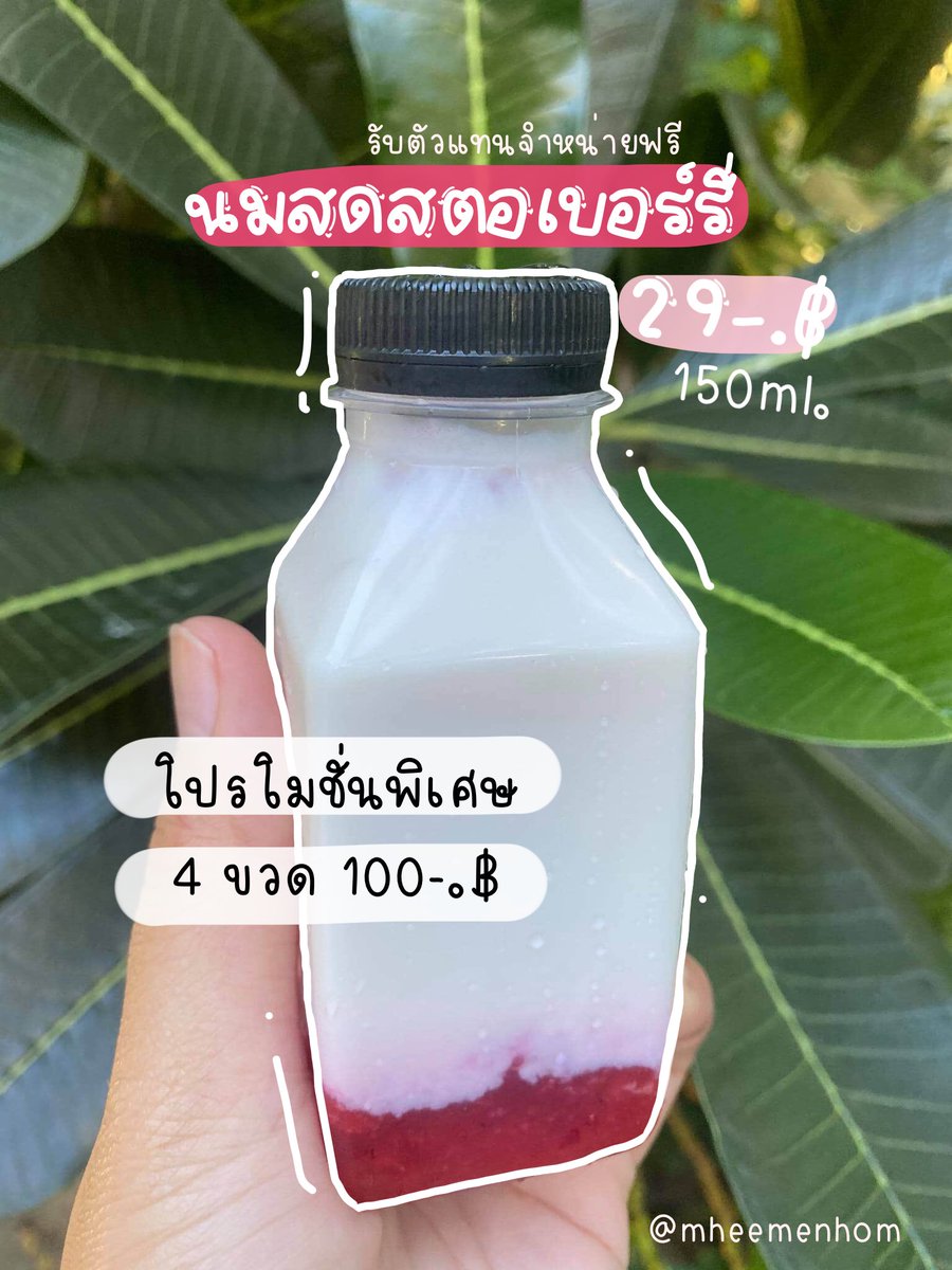 mheemenhom's tweet photo. ☁️ 𝐍𝐄𝐖 𝐌𝐄𝐍𝐔 ✨
🍓 fresh strawberry milk 🥛
‼️ราคาถูกมั้ก 29-.฿ เท่านั้น ‼️
:
ขนาด  150 ml. ☁️
นมสดสตอเบอร์รี่หอมๆใช้เนื้อสตอเบอร์รี่แท้ๆ ข้างล่างเป็นไซรับสตอเบอร์รี่นมสดแท้100% ไม่ใช้ผงนมสด 🤤
:
🛒สนใจติดต่อสอบถามสั่งซื้อ
Line@tgu0996t
#นมสดสตอเบอรี่ #รับตัวแทนจำหน่ายฟรี https://t.co/zutqmM3RNG