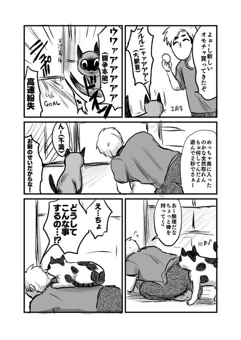 島袋全優 腸鼻1 4巻発売中さん の人気ツイート 1 Whotwi グラフィカルtwitter分析