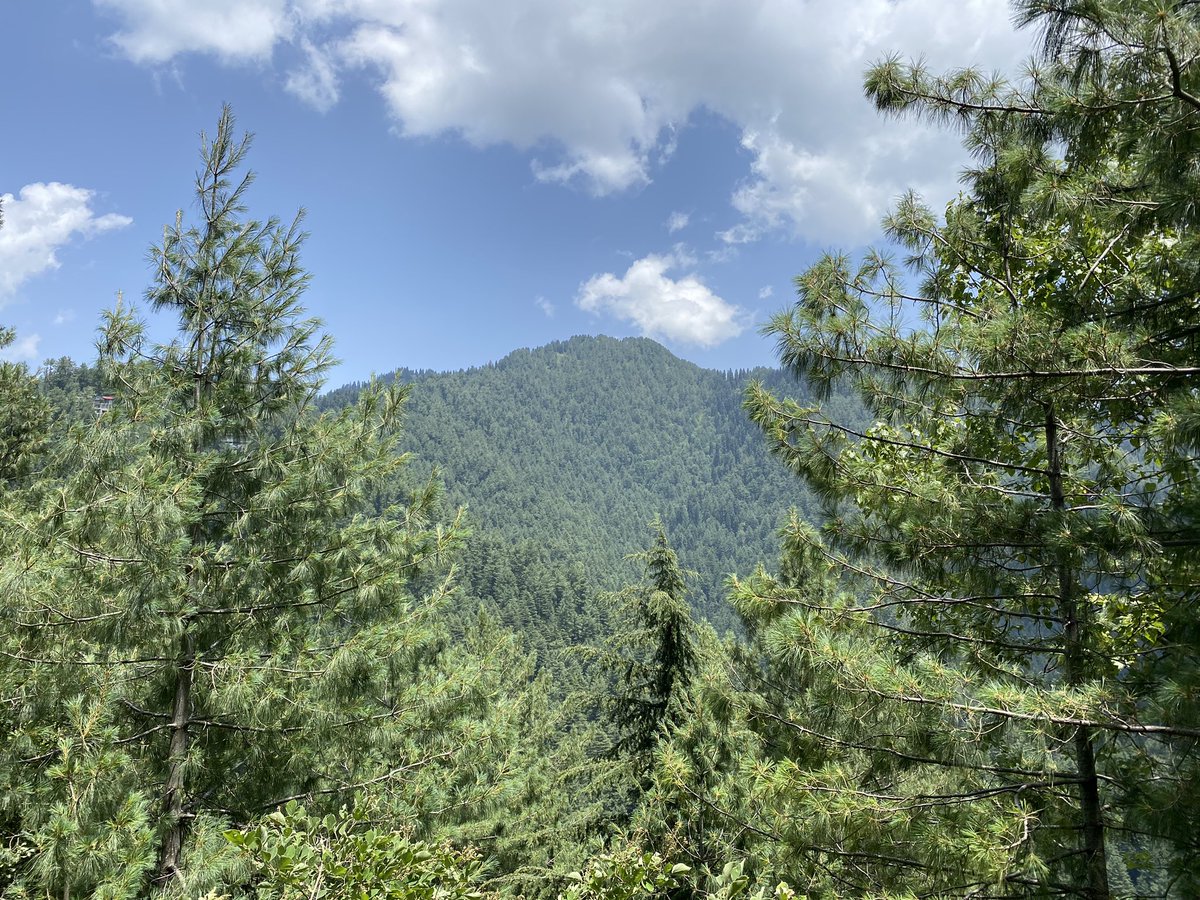 Did the well known pipeline walk. Starts in Dungagali bazar and ends in Ayubia (or vice versa) - goes through one of Pakistan’s best examples of Himalayan coniferous forest - animals found here include the leopard and the golden eagle