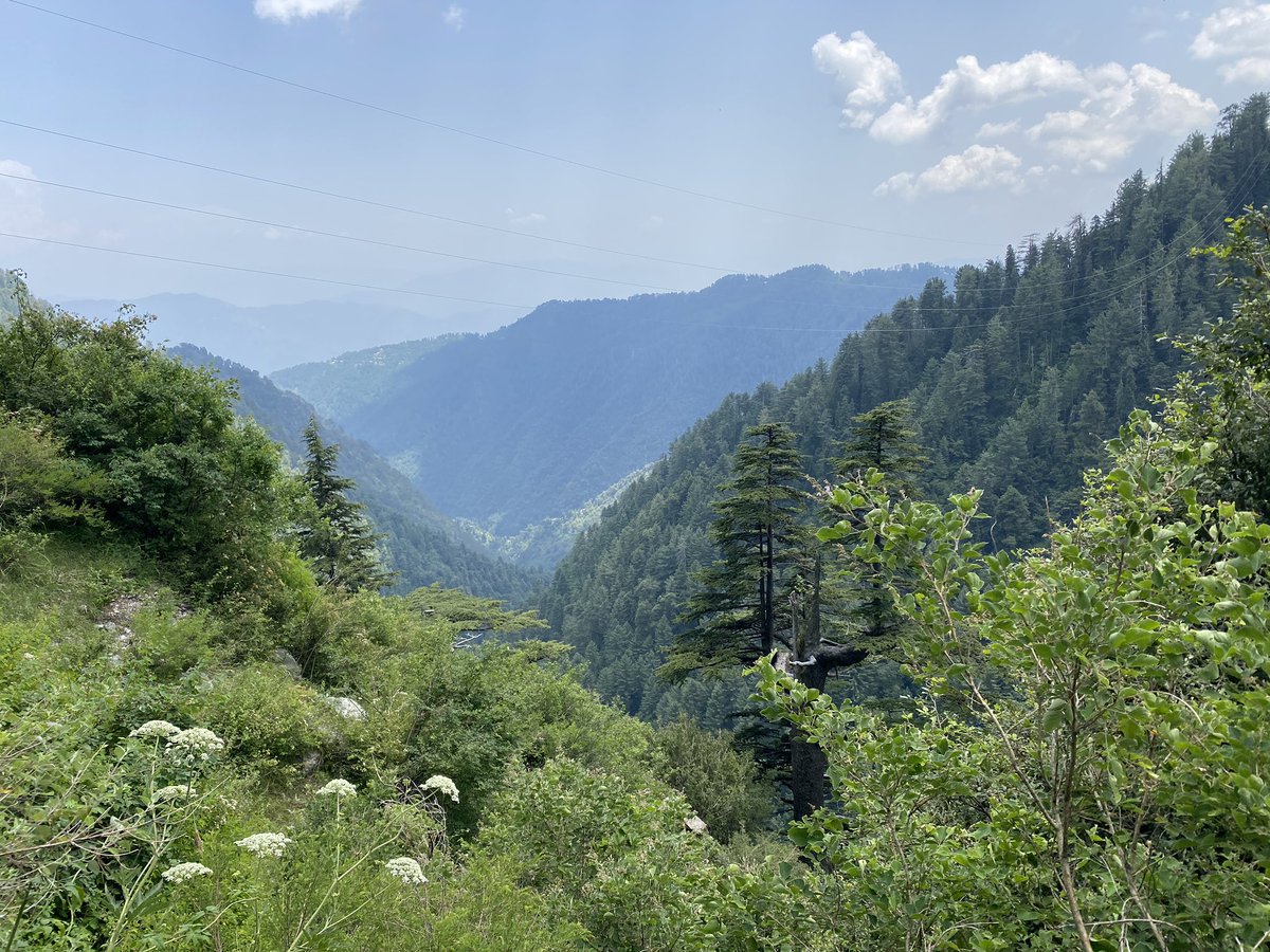 Did the well known pipeline walk. Starts in Dungagali bazar and ends in Ayubia (or vice versa) - goes through one of Pakistan’s best examples of Himalayan coniferous forest - animals found here include the leopard and the golden eagle