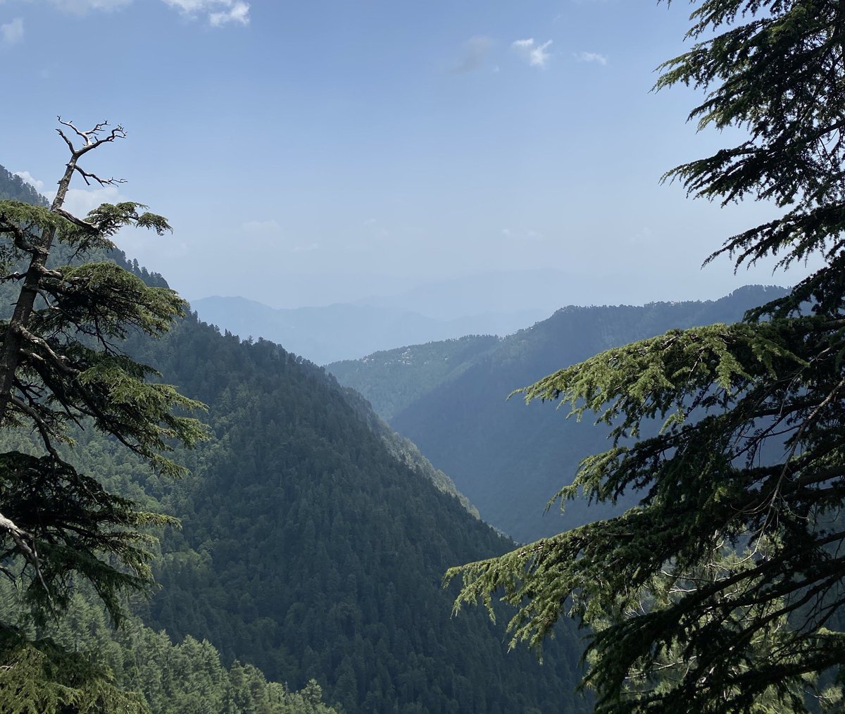 Did the well known pipeline walk. Starts in Dungagali bazar and ends in Ayubia (or vice versa) - goes through one of Pakistan’s best examples of Himalayan coniferous forest - animals found here include the leopard and the golden eagle