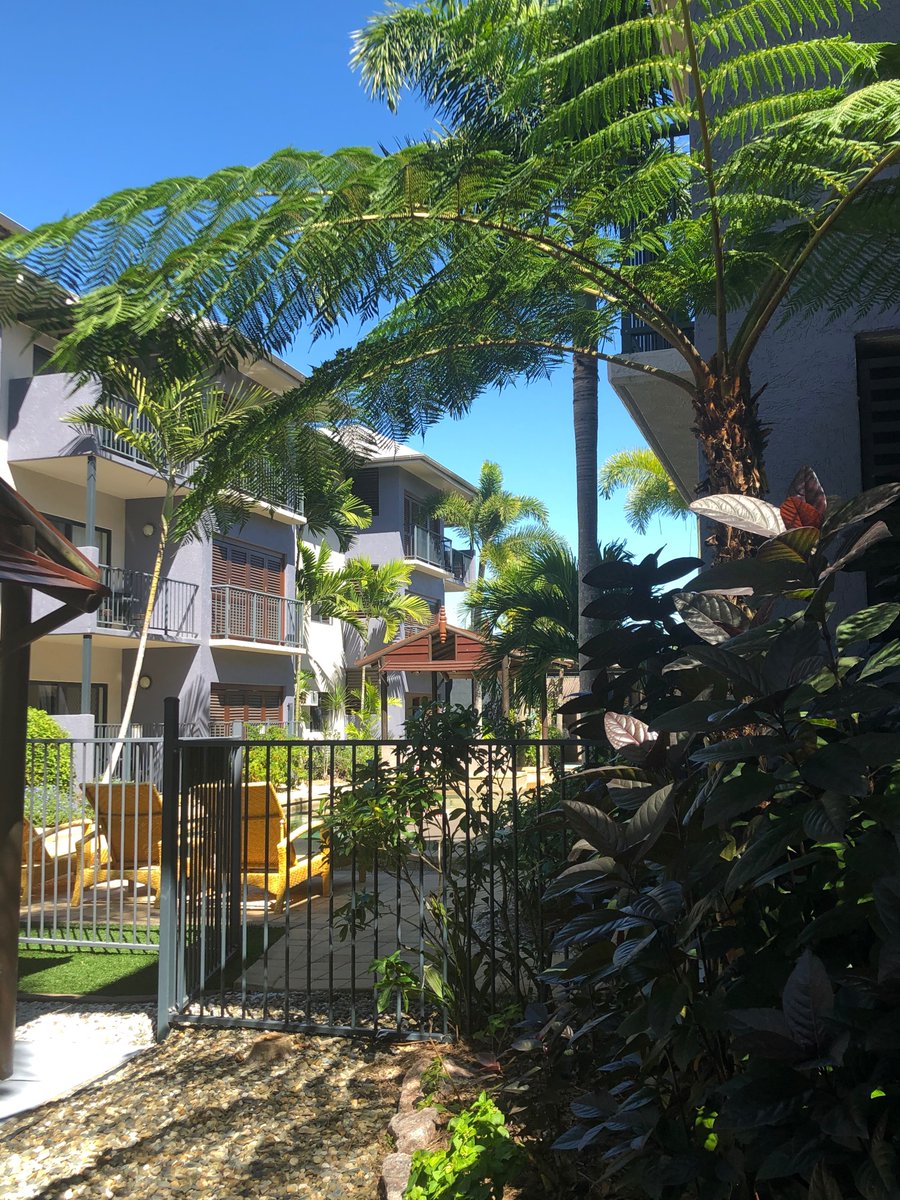 SthnCrossAtrium's tweet photo. We sure have been blessed with beautiful weather in #Cairns these past few weeks.  🤩 #FNQ #covidsafe #StaySafe #queensland https://t.co/OZkNNceYGI