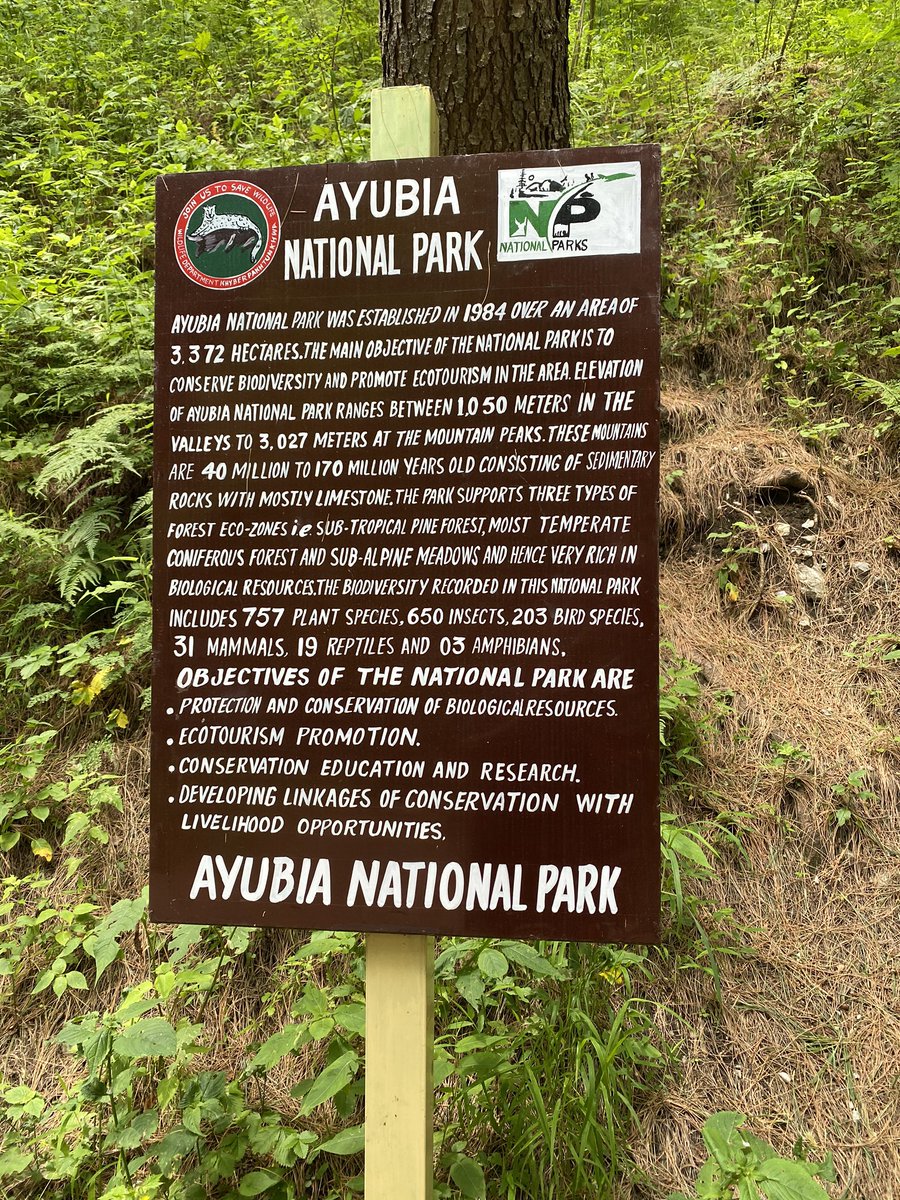 The pipeline walk is known for the water pipeline along it dating it from the times of British Rule - there’s a plaque at the Ayubia end with mention of the insignias of the British Army - a date of 1919 is engraved on one of the rocks