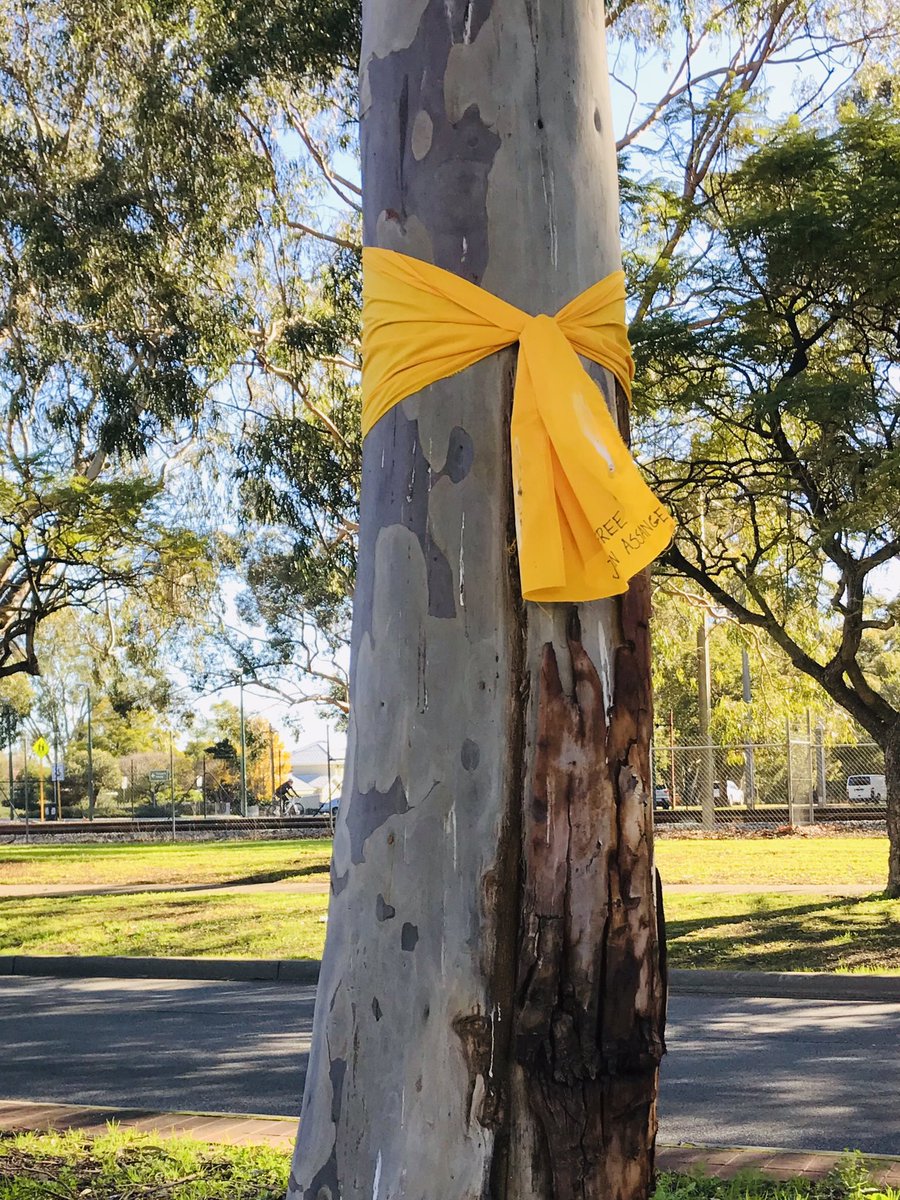 LorraineHarvey_'s tweet photo. @MrsC_Assange Still up after two weeks 👍🎗
#FreeAssange #YellowRibbons4Assange #Guildord #WA https://t.co/XobJV6mD61